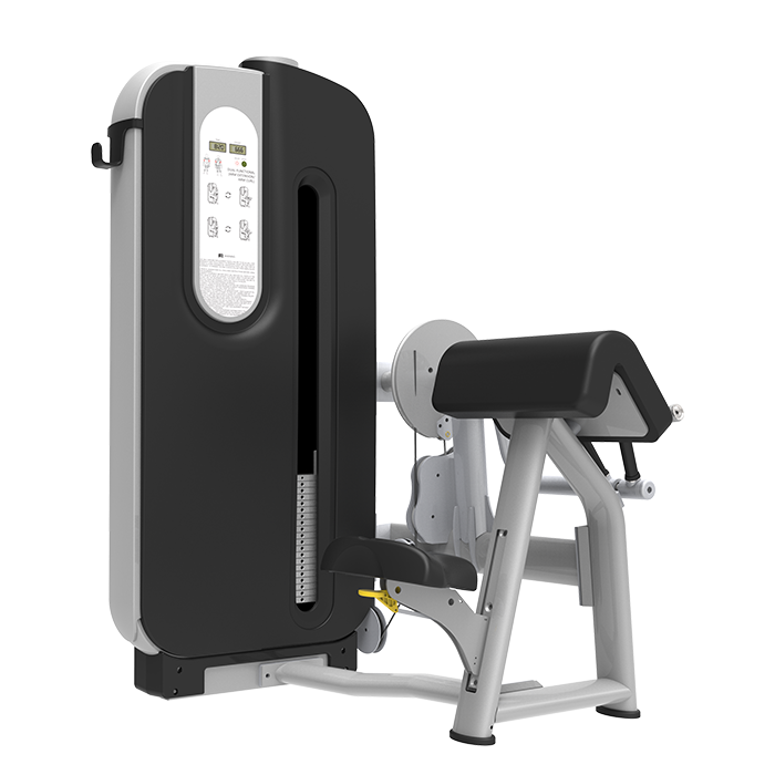 二三头肌双功能练习器