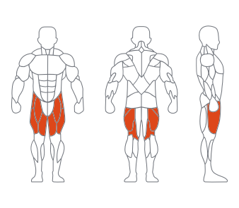 LD1013上斜推胸训练器 副本.png