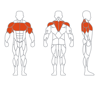 LS-020 直臂夹胸 LS-020 直臂夹胸