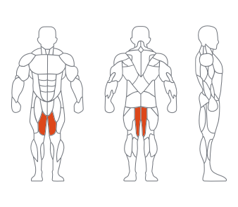 GL-7017大腿内侧（灰色）